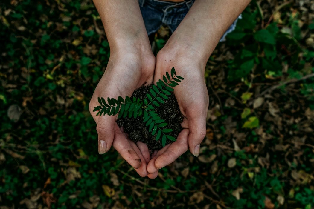 British Columbia spends $9.2 million on climate, nutrition, health and other projects