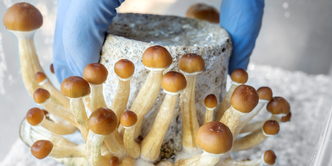 (Photo credit: Adobe Stock)